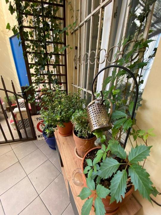 Apartment On Miodowa